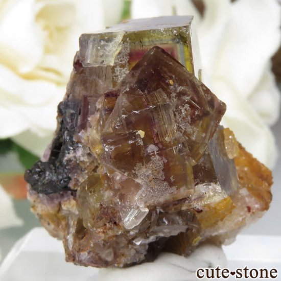 ɥ Dorfel Quarry ե饤ȡ 20.1gμ̿0 cute stone
