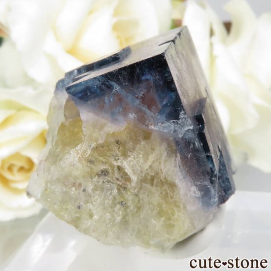 ɥ Dorfel Quarry ֥롼ե饤 36.7gμ̿0 cute stone