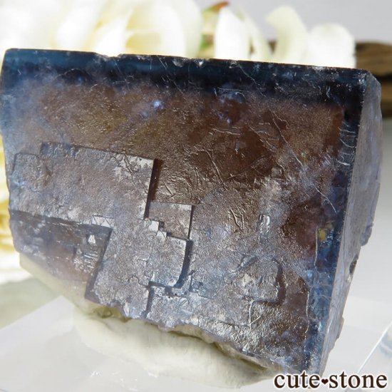ɥ Dorfel Quarry ֥롼ե饤 36.7gμ̿3 cute stone