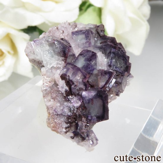 ɥ Dorfel Quarry ѡץߥ꡼ե饤ȡ 8.3gμ̿0 cute stone