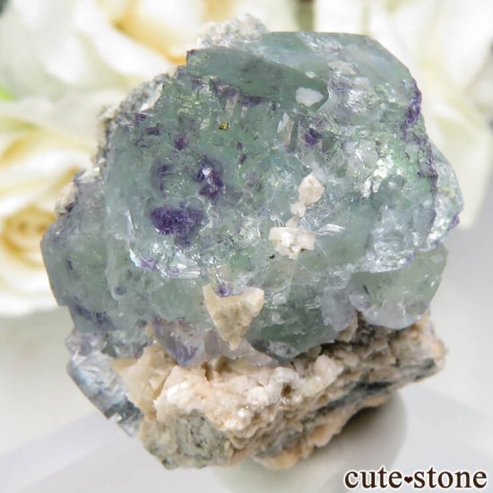 ɥ Dorfel Quarry ꡼ե饤 17.3gμ̿2 cute stone
