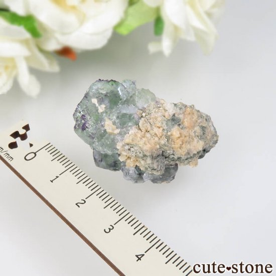 ɥ Dorfel Quarry ꡼ե饤 17.3gμ̿4 cute stone