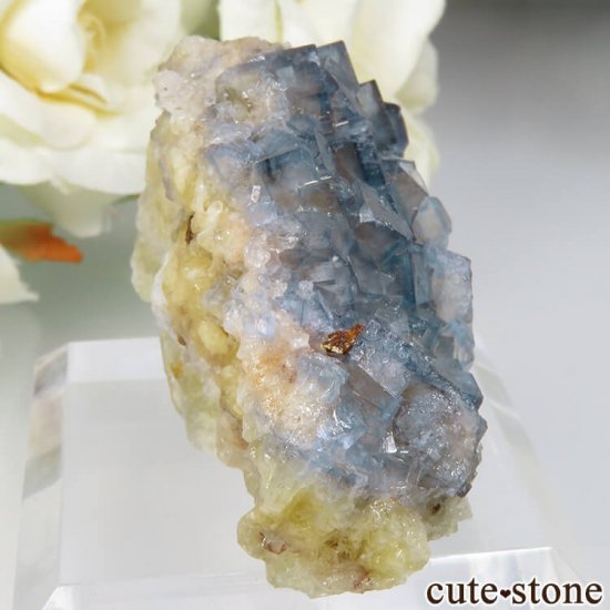 ɥ Dorfel Quarry ֥롼ߥե饤 34.5gμ̿0 cute stone