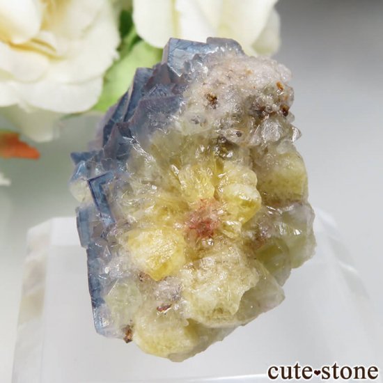 ɥ Dorfel Quarry ֥롼ߥե饤 34.5gμ̿2 cute stone