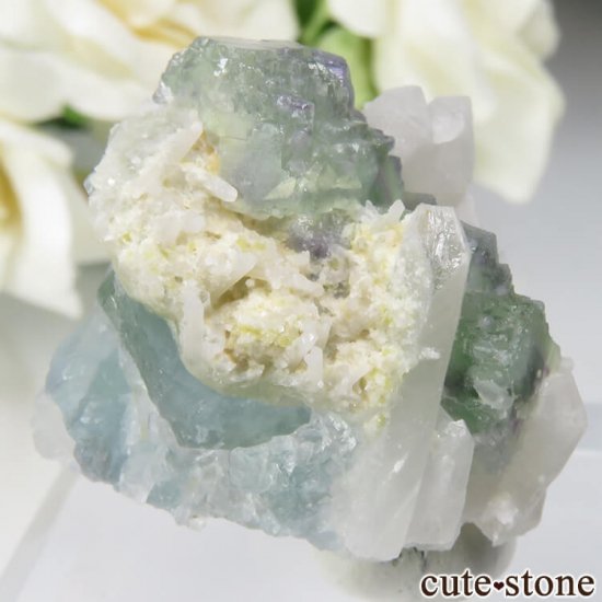 ɥ Dorfel Quarry ե饤ȡ 17.3gμ̿0 cute stone