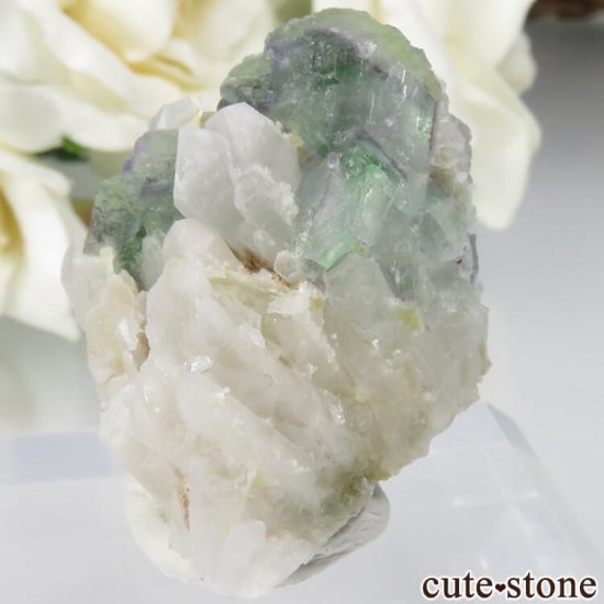 ɥ Dorfel Quarry ե饤ȡ 17.3gμ̿2 cute stone