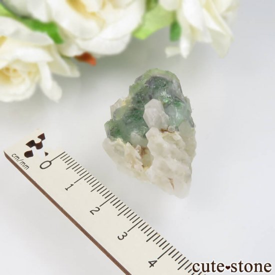 ɥ Dorfel Quarry ե饤ȡ 17.3gμ̿4 cute stone