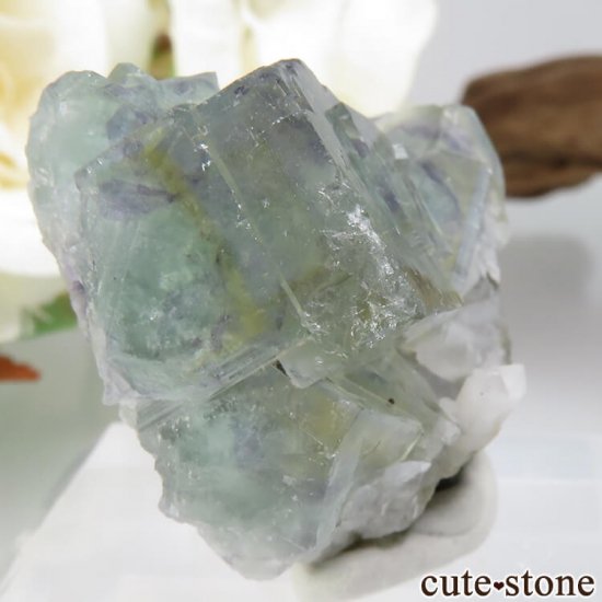 ɥ Dorfel Quarry ꡼ե饤ȡ 16gμ̿0 cute stone