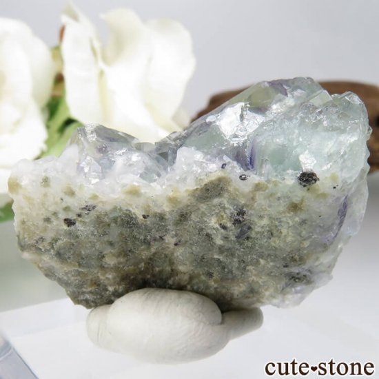 ɥ Dorfel Quarry ꡼ե饤ȡ 16gμ̿1 cute stone