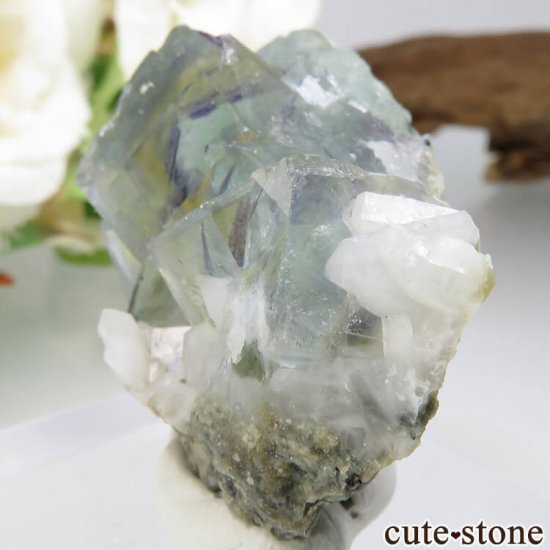 ɥ Dorfel Quarry ꡼ե饤ȡ 16gμ̿2 cute stone