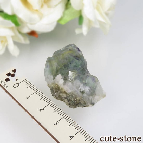 ɥ Dorfel Quarry ꡼ե饤ȡ 16gμ̿4 cute stone