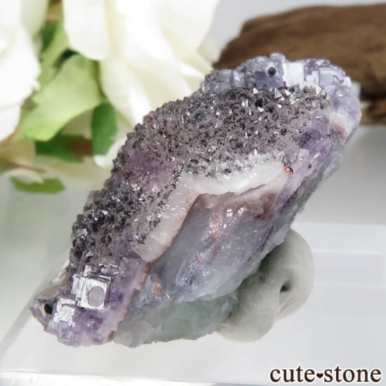 ɥ Dorfel Quarry ѡץ꡼ե饤ȡ 21.2gμ̿2 cute stone