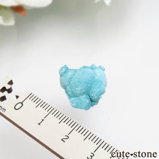 ꥫ ե˥ Ȥθ 0.5gμ̿1 cute stone