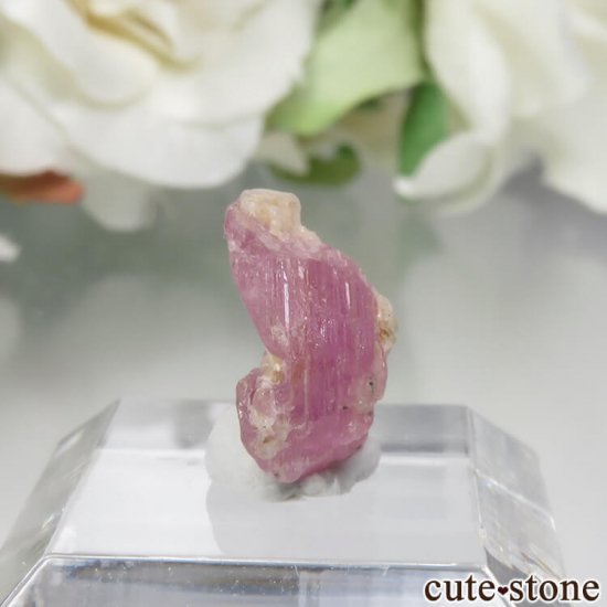 ڥĥåȡʥ饺٥ˤθ No.3μ̿0 cute stone