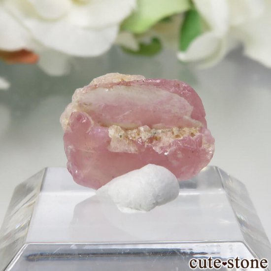 ڥĥåȡʥ饺٥ˤθ No.3μ̿1 cute stone