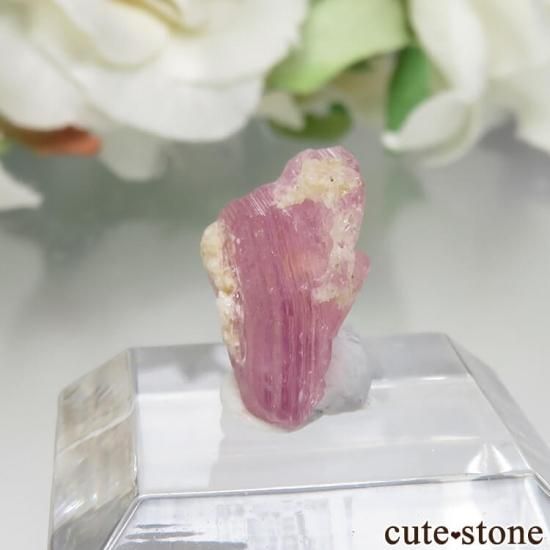 ڥĥåȡʥ饺٥ˤθ No.3μ̿2 cute stone