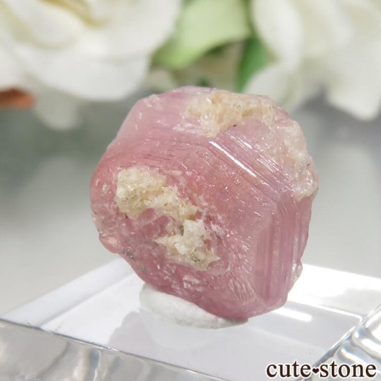 ڥĥåȡʥ饺٥ˤθ No.3μ̿3 cute stone