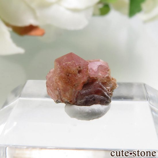 ڥĥåȡʥ饺٥ˤθ No.4μ̿0 cute stone
