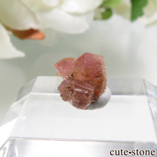 ڥĥåȡʥ饺٥ˤθ No.4μ̿1 cute stone