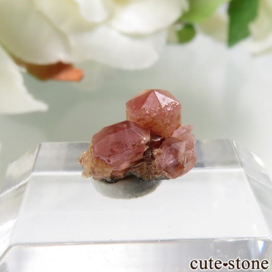 ڥĥåȡʥ饺٥ˤθ No.4μ̿2 cute stone
