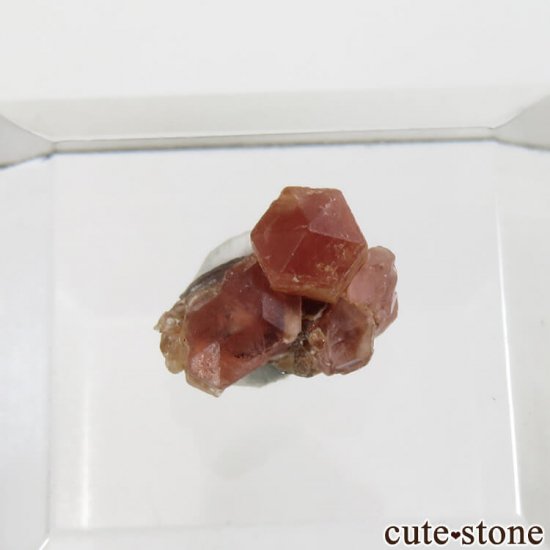 ڥĥåȡʥ饺٥ˤθ No.4μ̿3 cute stone
