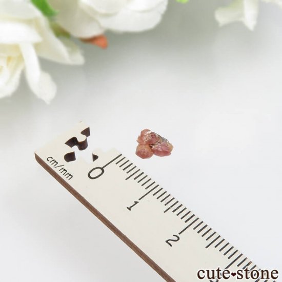 ڥĥåȡʥ饺٥ˤθ No.4μ̿4 cute stone
