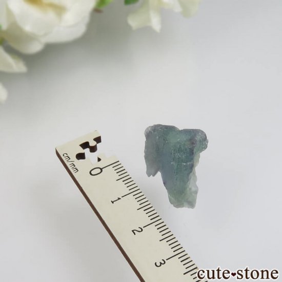 ȥꥢ Salzburg ֥롼ߥ꡼ե饤Ȥθ No.1μ̿2 cute stone