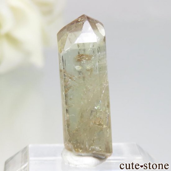 󥶥˥ ˻ 饤ȥԥ󥯡Ȥθ No.31μ̿0 cute stone