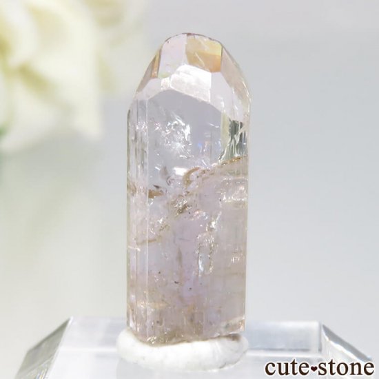 󥶥˥ ˻ 饤ȥԥ󥯡Ȥθ No.31μ̿1 cute stone