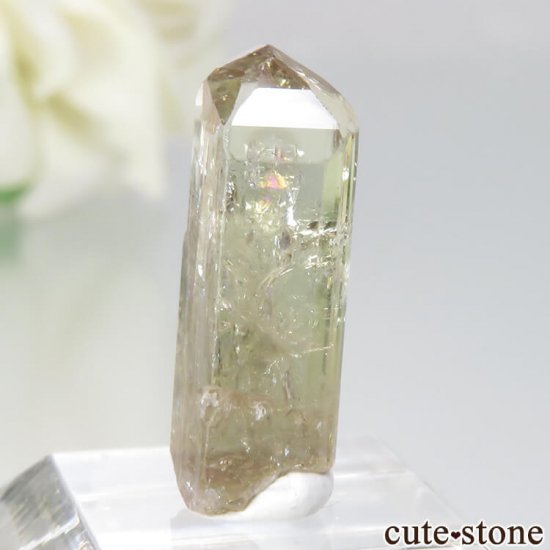 󥶥˥ ˻ 饤ȥԥ󥯡Ȥθ No.31μ̿2 cute stone