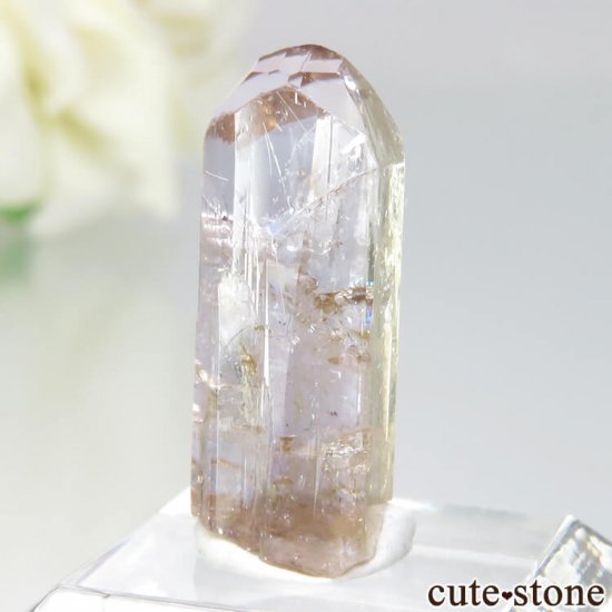 󥶥˥ ˻ 饤ȥԥ󥯡Ȥθ No.31μ̿3 cute stone