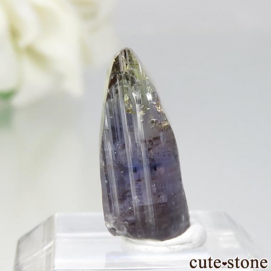 󥶥˥ ˻ 󥶥ʥȡʥХ顼ȡˤθ No.32μ̿0 cute stone