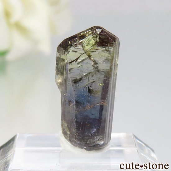 󥶥˥ ˻ 󥶥ʥȡʥХ顼ȡˤθ No.32μ̿1 cute stone