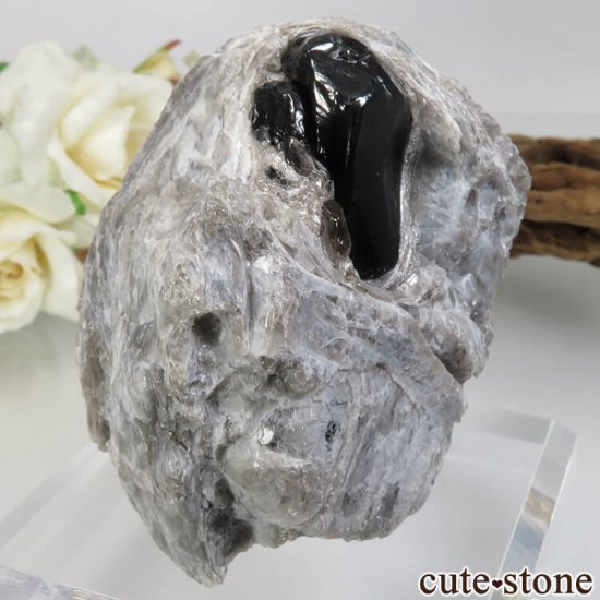 ꥾ʽ ֥ǥʥѥåƥѥåޡNo.3μ̿0 cute stone