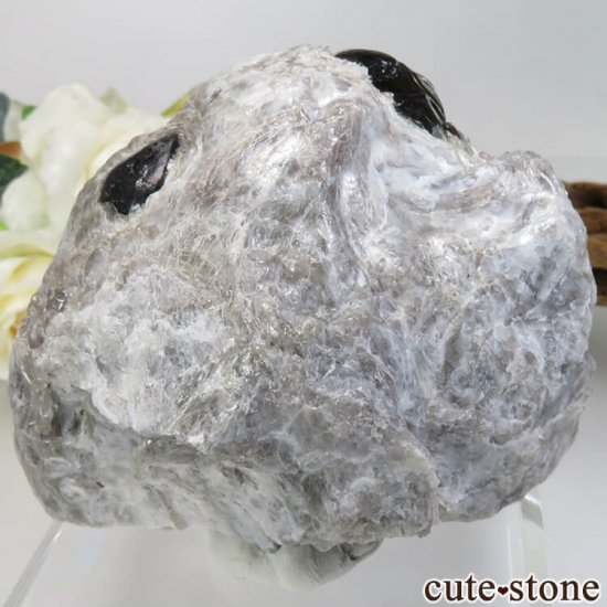 ꥾ʽ ֥ǥʥѥåƥѥåޡNo.3μ̿1 cute stone