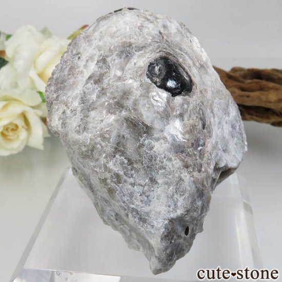 ꥾ʽ ֥ǥʥѥåƥѥåޡNo.3μ̿2 cute stone