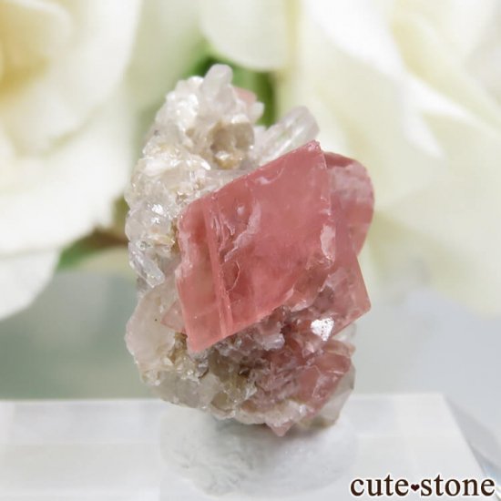 ꥫ ɻ ɥȡĤθ No.7μ̿0 cute stone