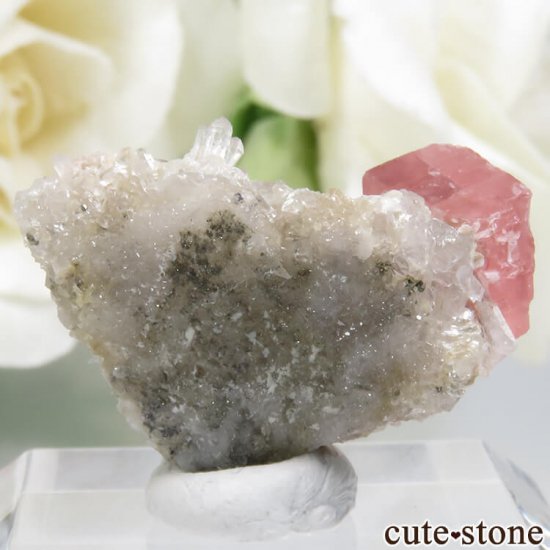ꥫ ɻ ɥȡĤθ No.7μ̿1 cute stone