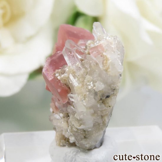 ꥫ ɻ ɥȡĤθ No.7μ̿2 cute stone