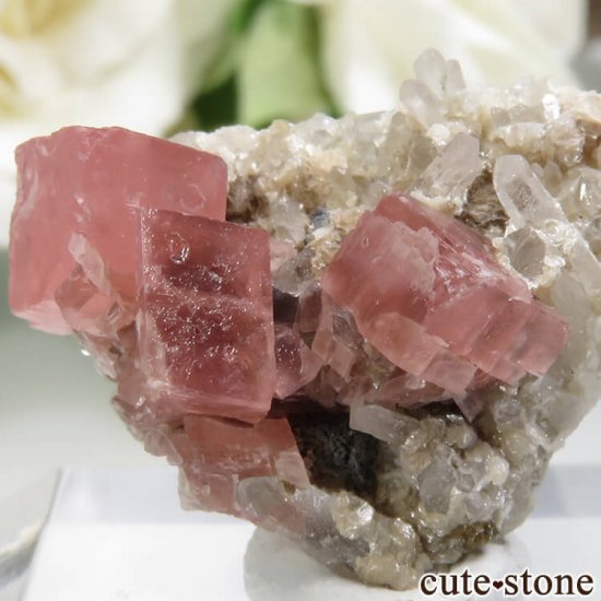 コロラド産 ロードクロサイト＆クォーツの原石 No.7 - cute stone -