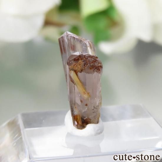 ȥ륳  Bocsite Mine ݥоʷ뾽) No.4μ̿1 cute stone