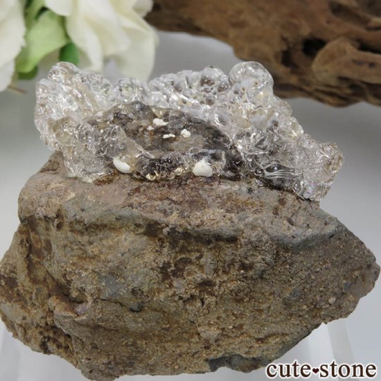  ϥ饤(ѡ)դ No.1μ̿1 cute stone