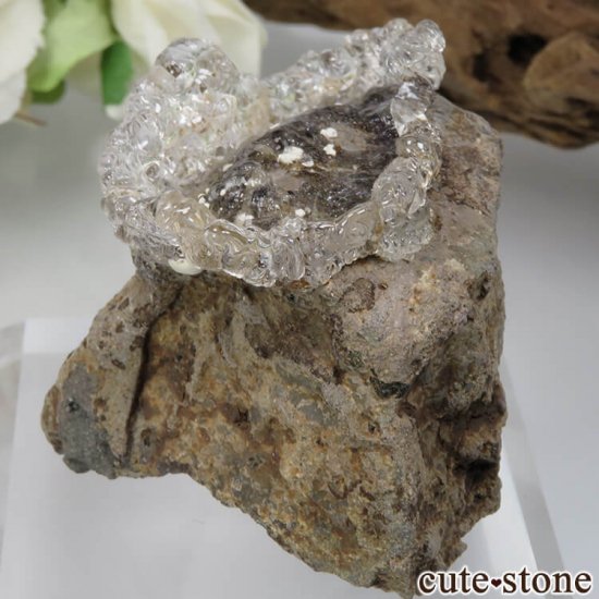  ϥ饤(ѡ)դ No.1μ̿2 cute stone