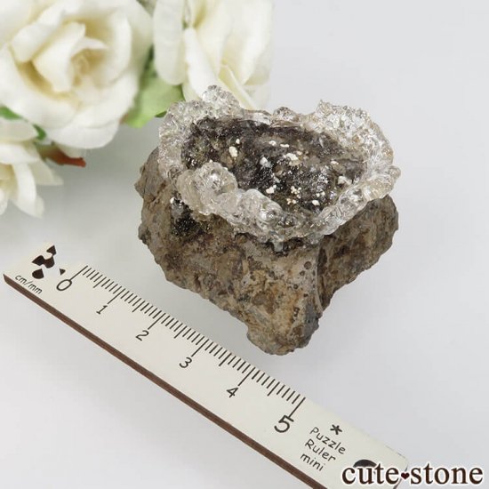  ϥ饤(ѡ)դ No.1μ̿4 cute stone