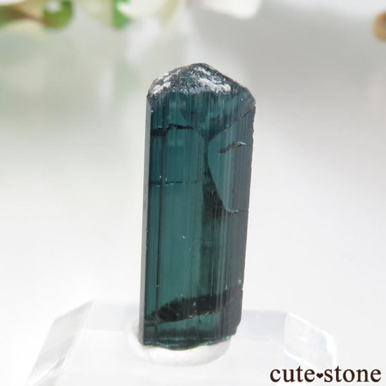 ʥߥӥ ǥ饤ȡʥ֥롼ȥޥˤη뾽ʸСNo.2μ̿1 cute stone