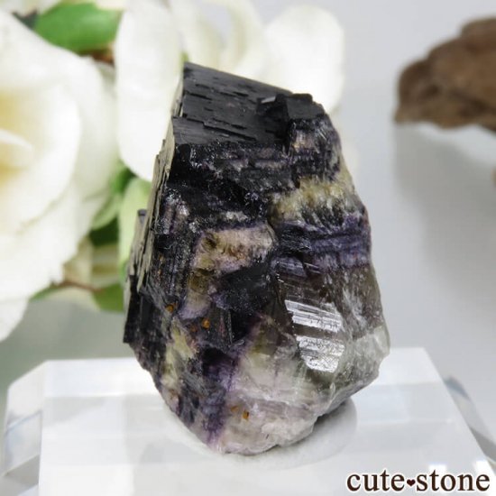 ɥ Frohnau ѡץ֥åե饤 No.1μ̿2 cute stone