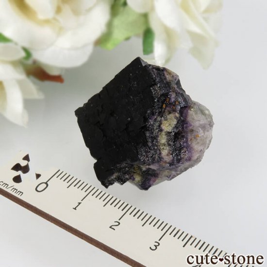 ɥ Frohnau ѡץ֥åե饤 No.1μ̿3 cute stone