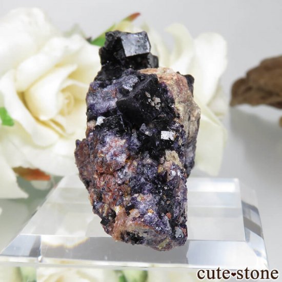 ɥ Frohnau ѡץ֥åե饤 No.2μ̿0 cute stone