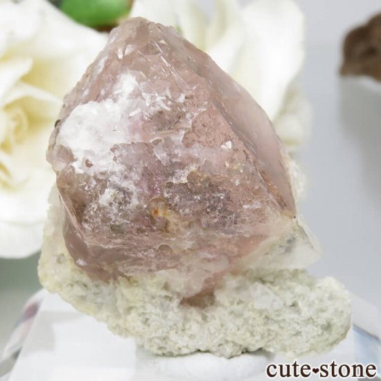  󥴥뻺Υԥ󥯥ե饤Ȥη뾽ʸСNo.9μ̿0 cute stone