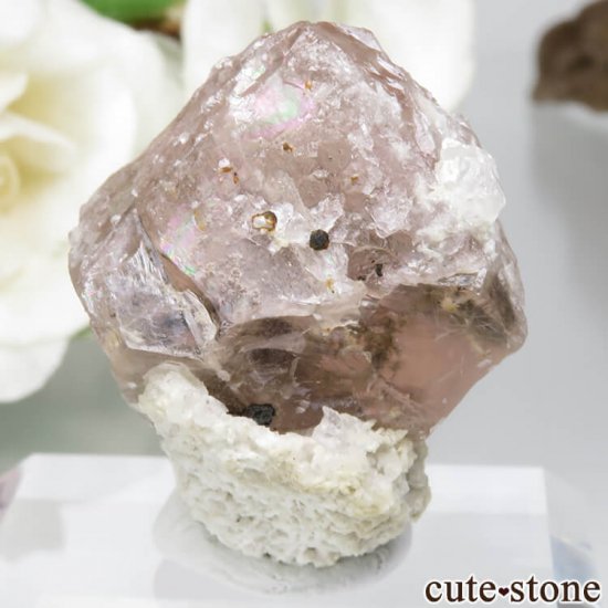  󥴥뻺Υԥ󥯥ե饤Ȥη뾽ʸСNo.9μ̿1 cute stone